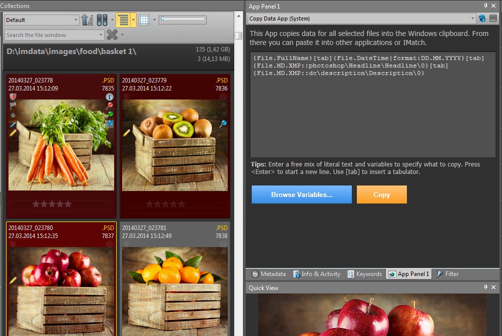 The Copy Data App in IMatch. Three files are selected in a File Window.