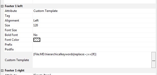 The File Window Layout Editor showing the template for the custom footer.