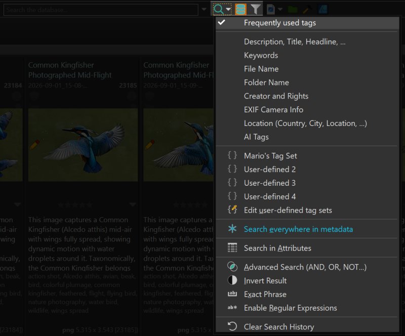 The search bar in File Windows.