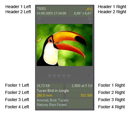 A screen shot of a File Window panel in a thumbnail layout.