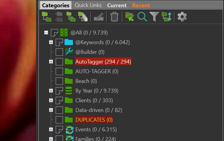A screen shot of the Categories Panel in the IMatch Viewer.