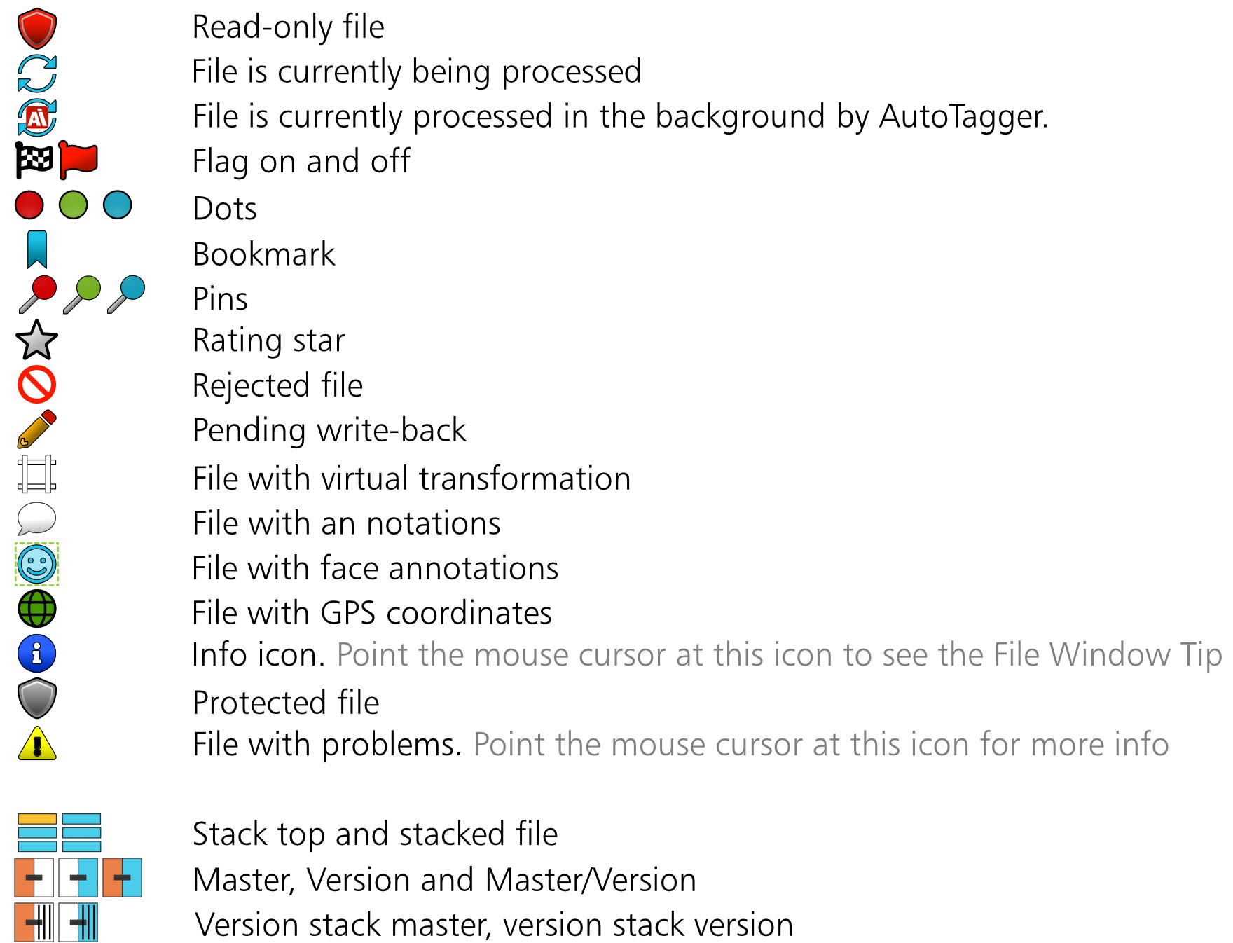 A graphic showing all icons used by IMatch File Windows and their meaning.