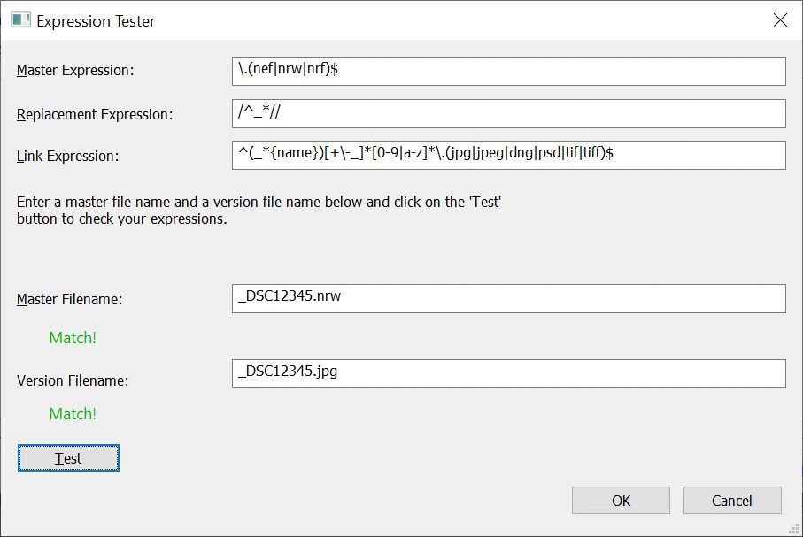 The Expression Tester dialog allows users to test regular expressions used in file relations.