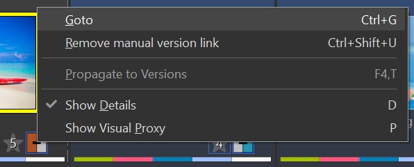 Context menu in the Version Panel.