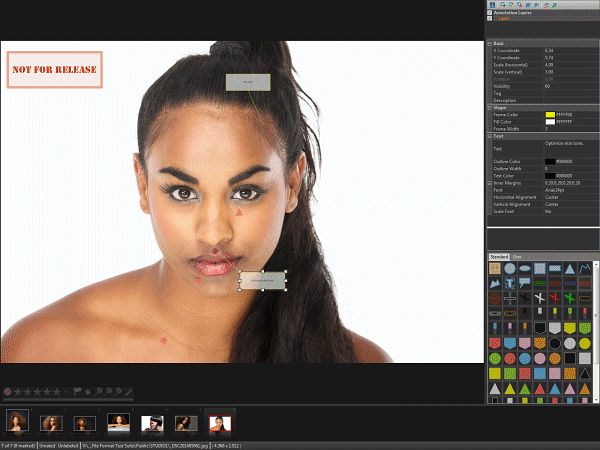 Working with Annotations in the Viewer.