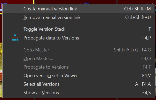 The version context menu.