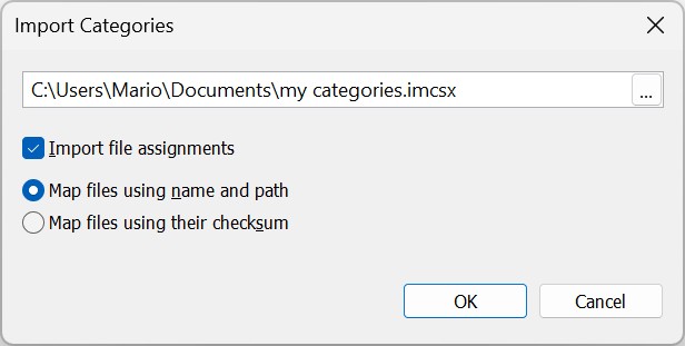 A screen shot of the IMatch Category Import dialog with options.