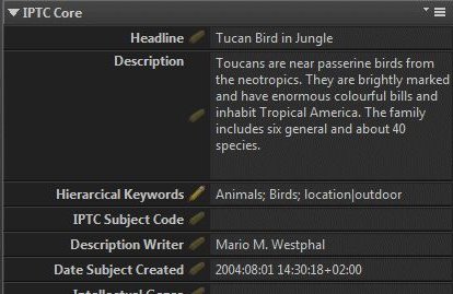 Screen shot of the IMatch Metadata Panel.