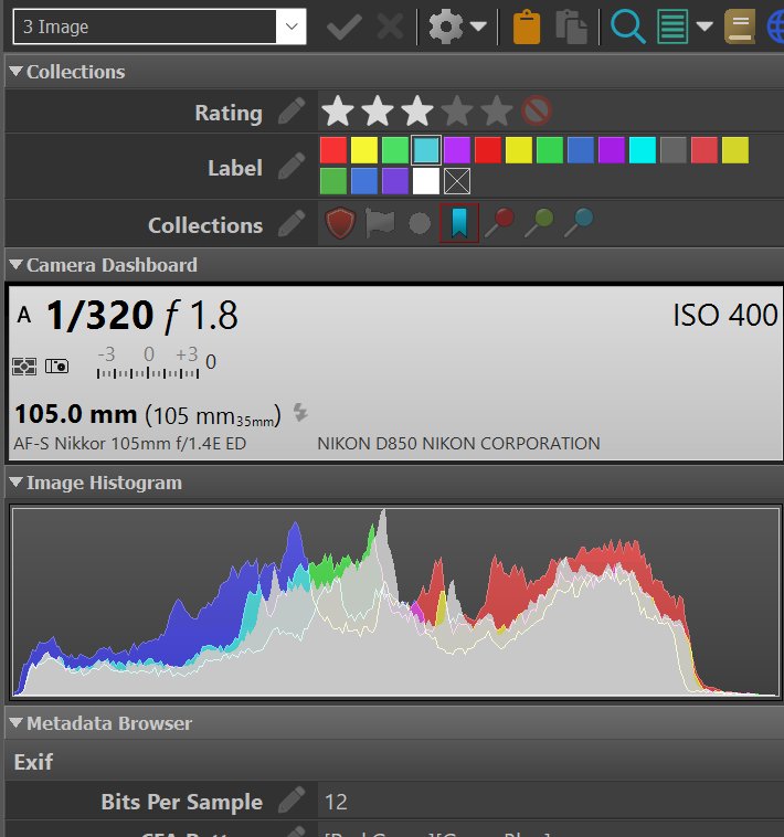A screen shot od the Image Metadata Panel layout, which shows the camera dashboard and the histogram.