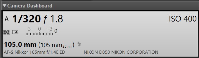 A screen shot of the camera dashboard in the Metadata Panel.