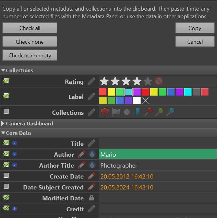 Choosing the data to copy into the clipboard.