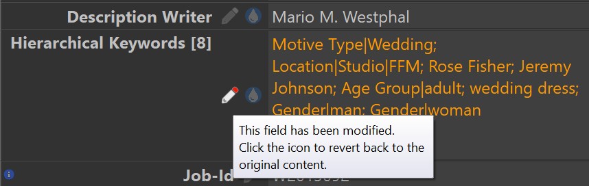 The Metadata Panel indicates tags with modified data with a special pen icon.
