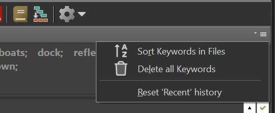 The drop-down menu in the Keywords Panel.