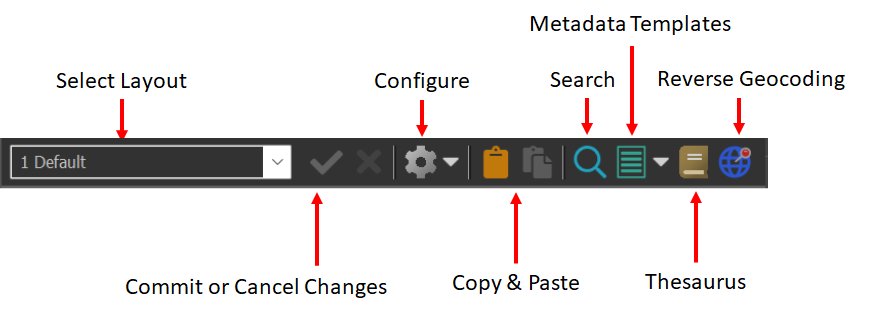 A screen shot of the Metadata Panel ribbon, explaining the function of each button.