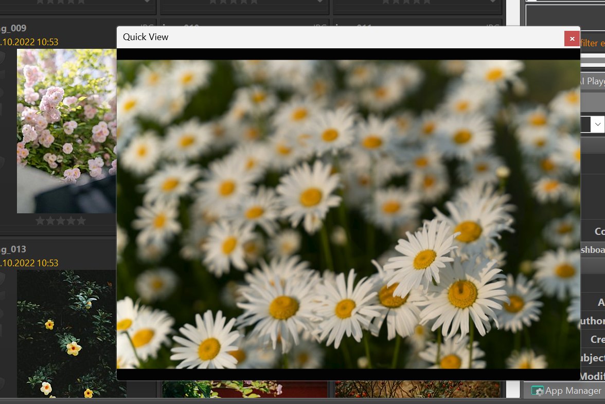 A screen shot demonstrating a floating panel.