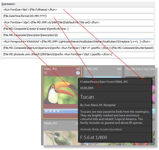 A more advanced File Window Tip displaying detailed information with the help of variables.