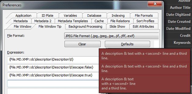 A screen shot of a File Window Tip.