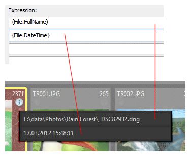 A screen shot of a File Window Tip using variables.