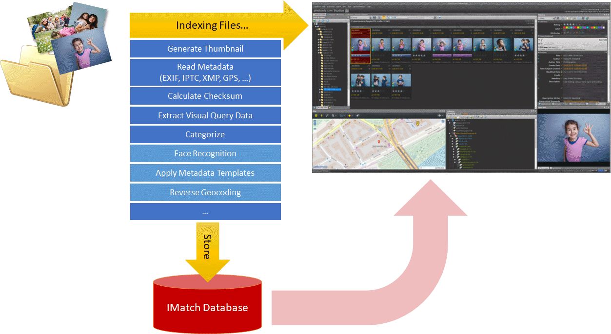 This image shows the indexing workflow in IMatch, from adding files to the database to displaying the files and their metadata.
