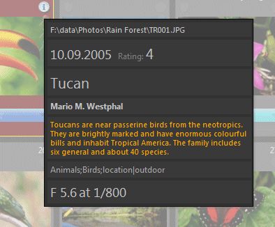 screen shot of a File window tip with advanced formatting.