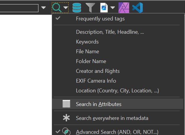 Enable this option to search in Attributes.