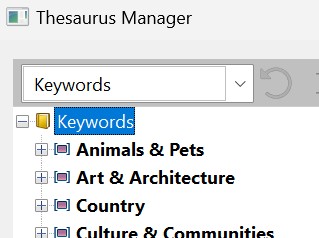 The Thesaurus Manager with the Keywords entry selected.