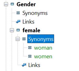 The new synonyms for the female keyword in the Thesaurus Manager.