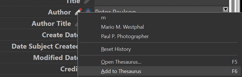 Adding new entries to the thesaurus with the context menu.