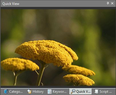 Quick View Panel