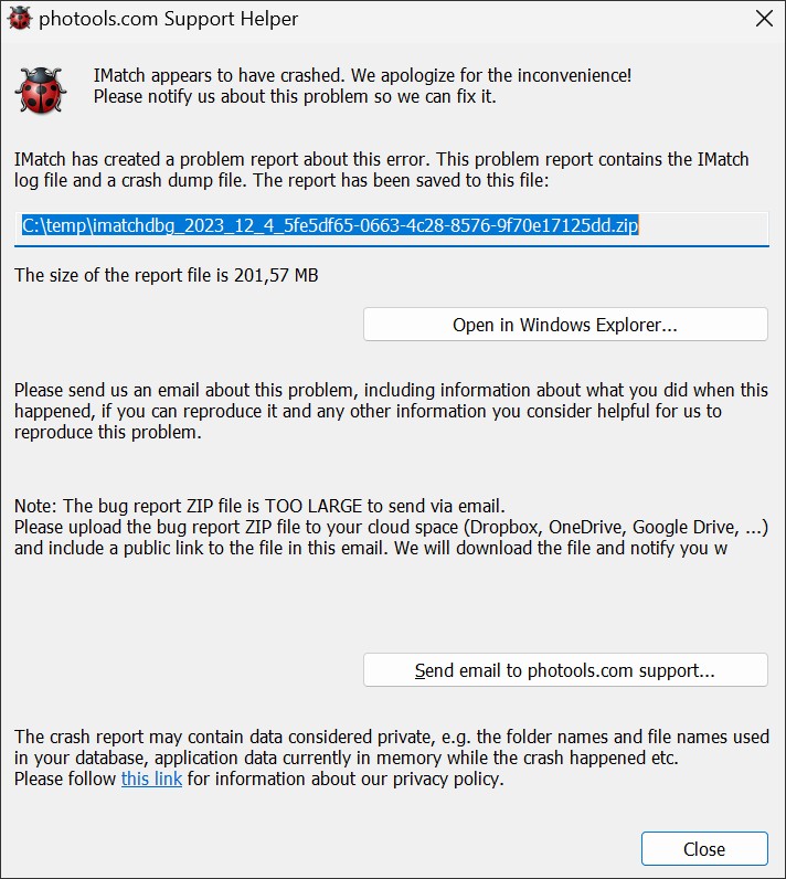 A screen shot of the IMatch Crash Handler dialog box.