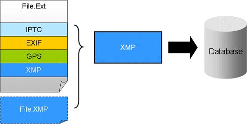 A graphic explaining how IMatch produces rich and complete XMP metadata from native metadata like EXIF, IPTC and GPS.