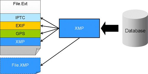 A graphic explaining how IMatch produces and synchronizes native metadata like EXIF, GPS and IPTC from XMP metadata during write-back.