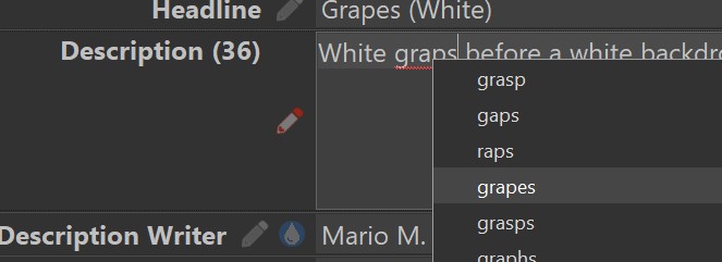 The spell checker indicating a misspelled word in the IMatch Metadata Panel.