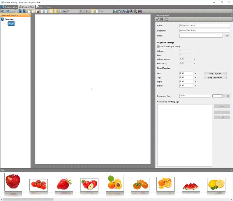 A screen shot of the Designer tab in IMatch Design & Print.