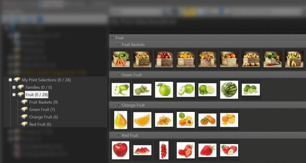 A screen shot of an IMatch File Window displaying a category hierarchy.