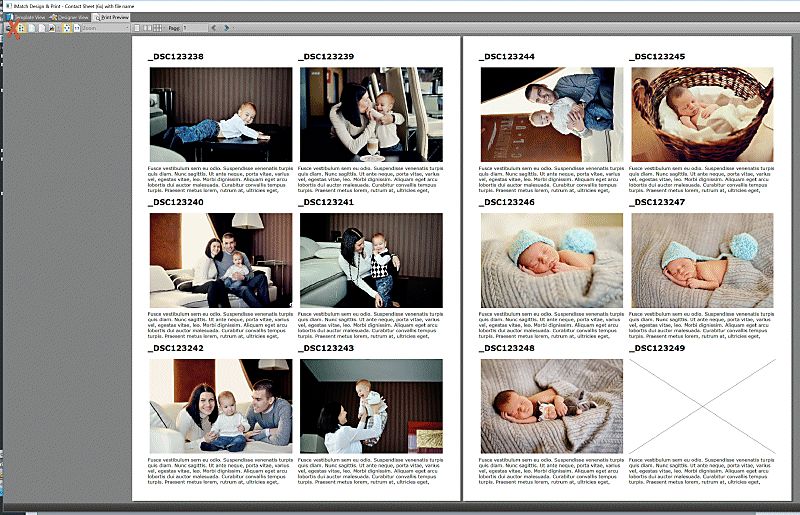 A screen shot of the preview tab in IMatch Design & Print for these images.
