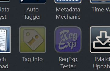 Icons for hidden apps display in a different style in the IMatch App Manager.
