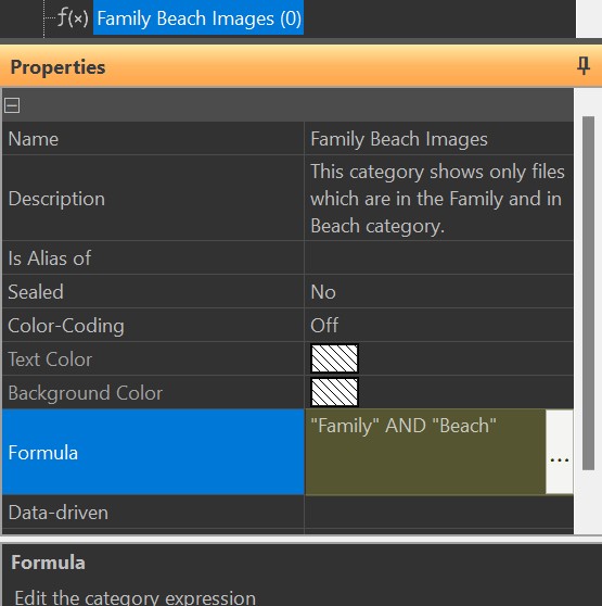 Adding a formula to a category directly in the category properties panel.