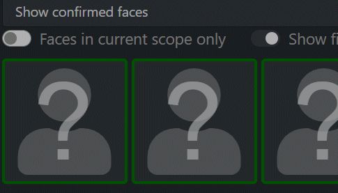 The face manager uses this icon to indicate linked person. They have no thumbnail.