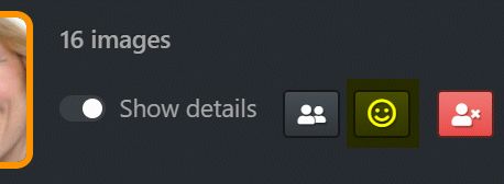 A screenshot of the Face Manager button in the Person Editor ribbon.