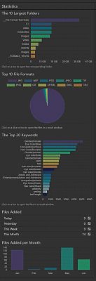 A screenshot of the Statistics panel in the IMatch Dashboard.