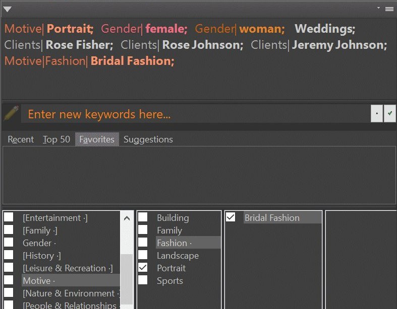 Editing keywords in the IMatch Keywords Panel.