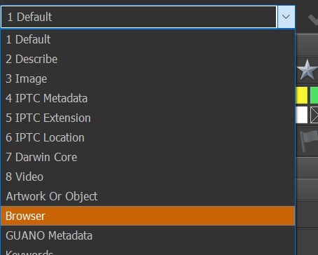 Switching the IMatch Metadata Panel to the 'Browser' layout