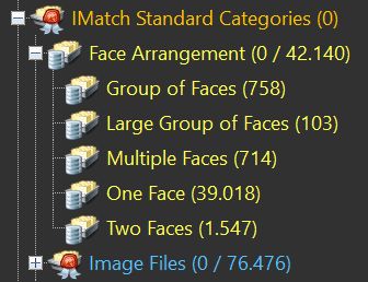 Screen shot of the Face Arrangement category, which automatically organizes your files based on the number and arrangement of faces.