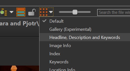 A screen shot of the File Window selector menu.