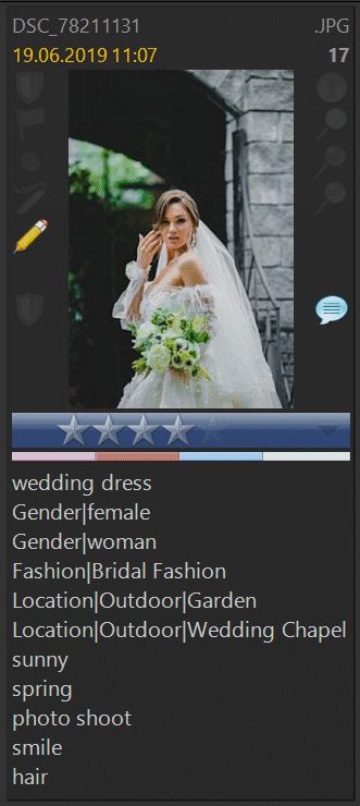 A screen shot of a File Window layout focussing on the keywords assigned to the image.