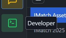 Switching to Developer Mode in LM Studio.