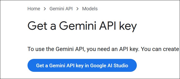 Getting a Google Gemini API key.