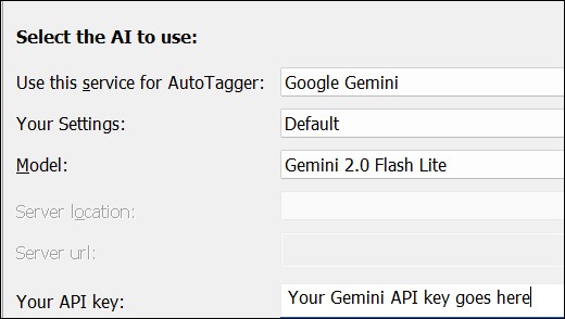 Configuring AutoTagger for using the Gemini AI.