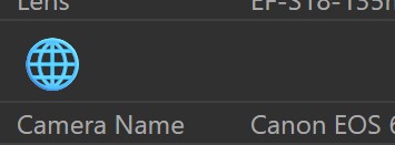 Displaying a globe icon in an overlay.